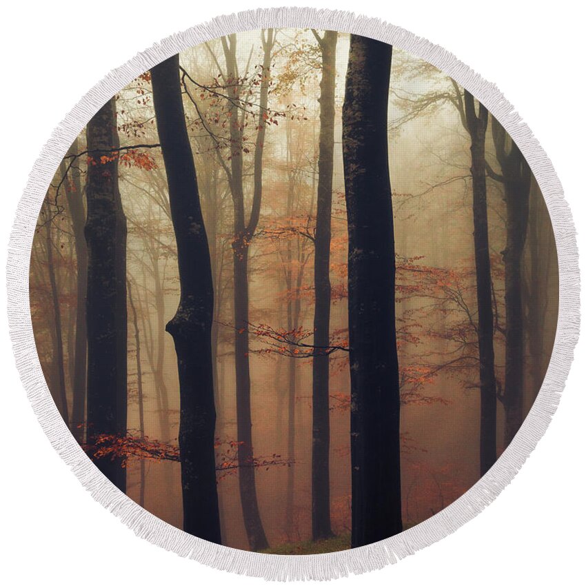 Balkan Mountains Round Beach Towel featuring the photograph Trees in the Mist by Evgeni Dinev