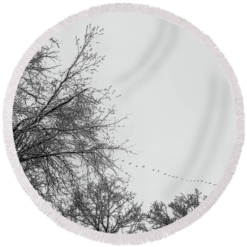 Tree Round Beach Towel featuring the photograph Trees in Winter's Snow with geese by Alan Goldberg