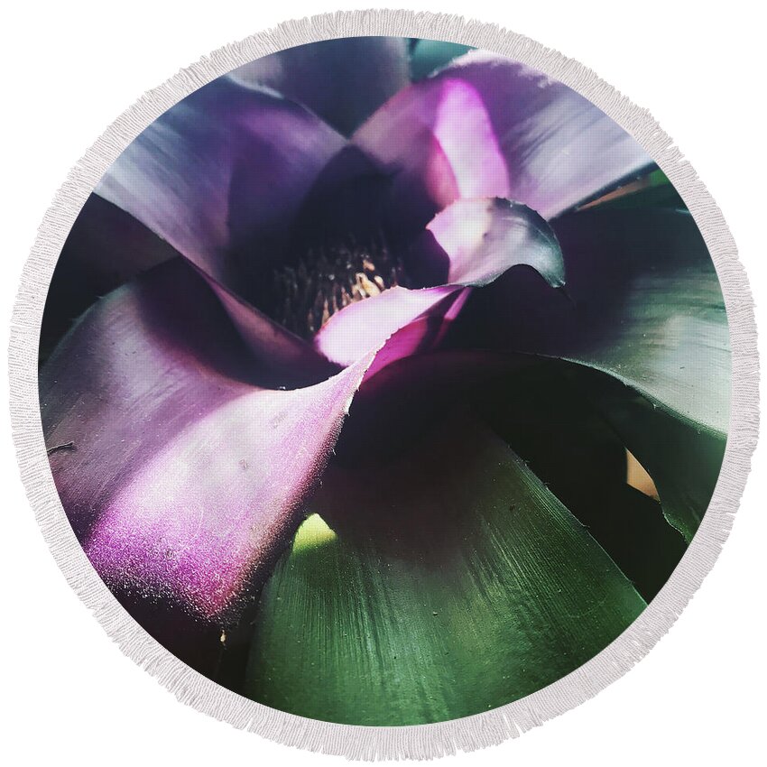  Round Beach Towel featuring the photograph Tropical by Michelle Hoffmann
