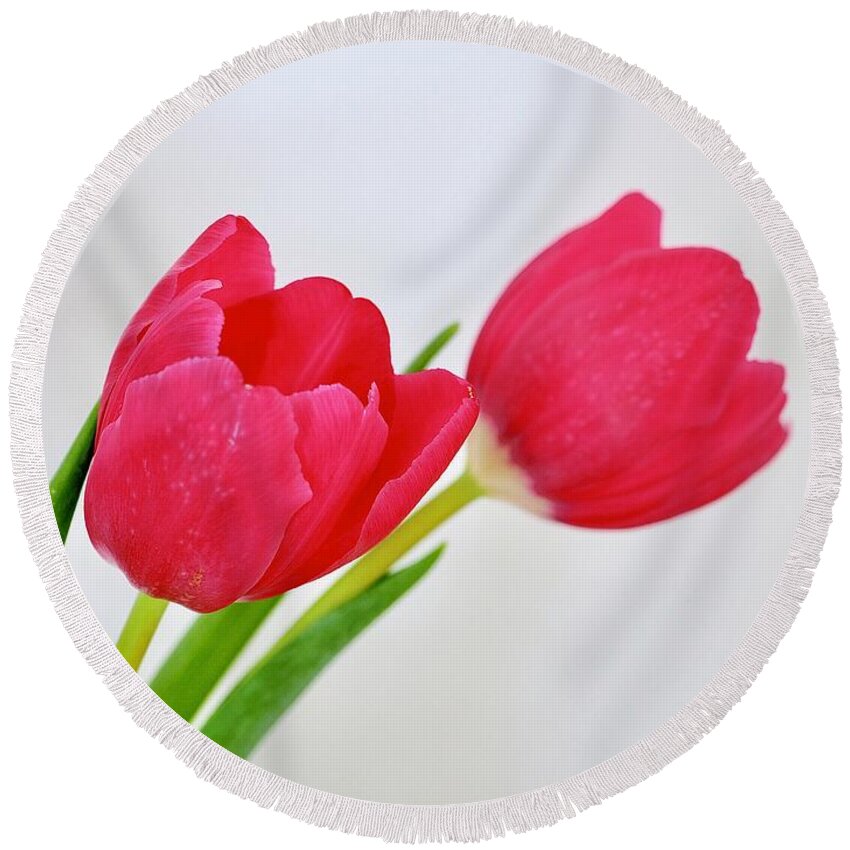 Flowers Round Beach Towel featuring the photograph Tulip And One Behind by Alida M Haslett