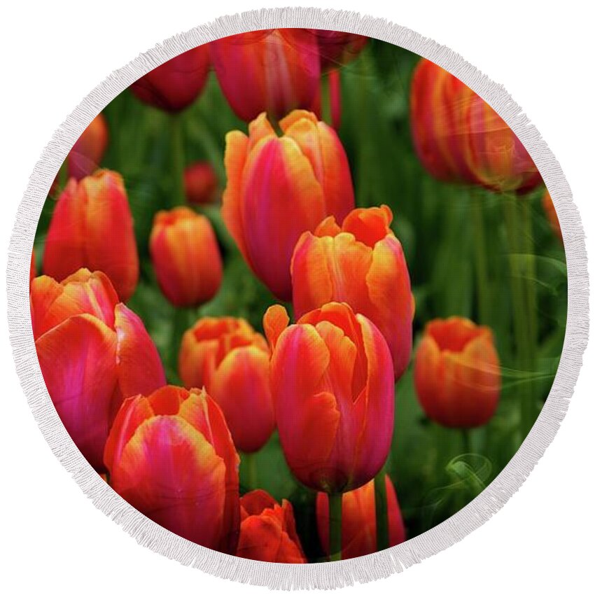 Tulips Round Beach Towel featuring the photograph Tulip Field Beauty by Michelle Liebenberg