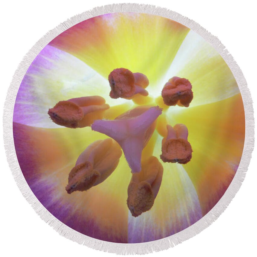 Tulip Round Beach Towel featuring the photograph Tulip Inner Glow by Terence Davis