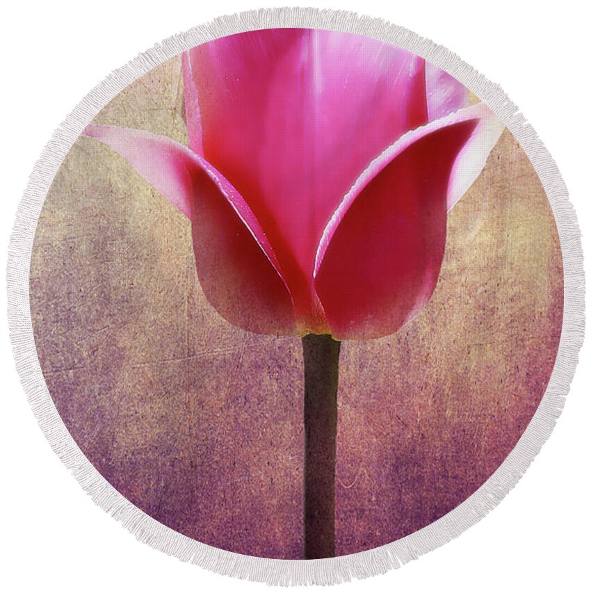Tulip Round Beach Towel featuring the photograph Tulip by Patrick Boening