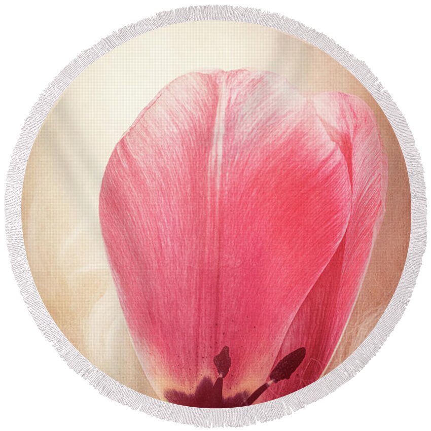 Petal Round Beach Towel featuring the photograph Tulip Petal by Philippe Sainte-Laudy