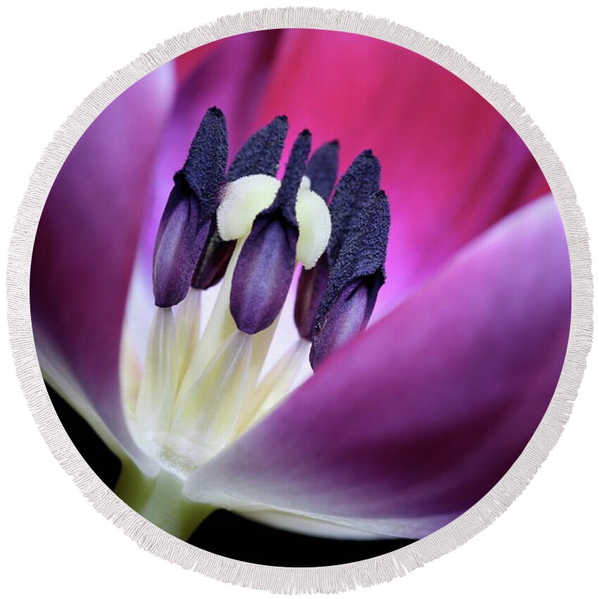 Macro Round Beach Towel featuring the photograph Tulip Pink 3917 by Julie Powell
