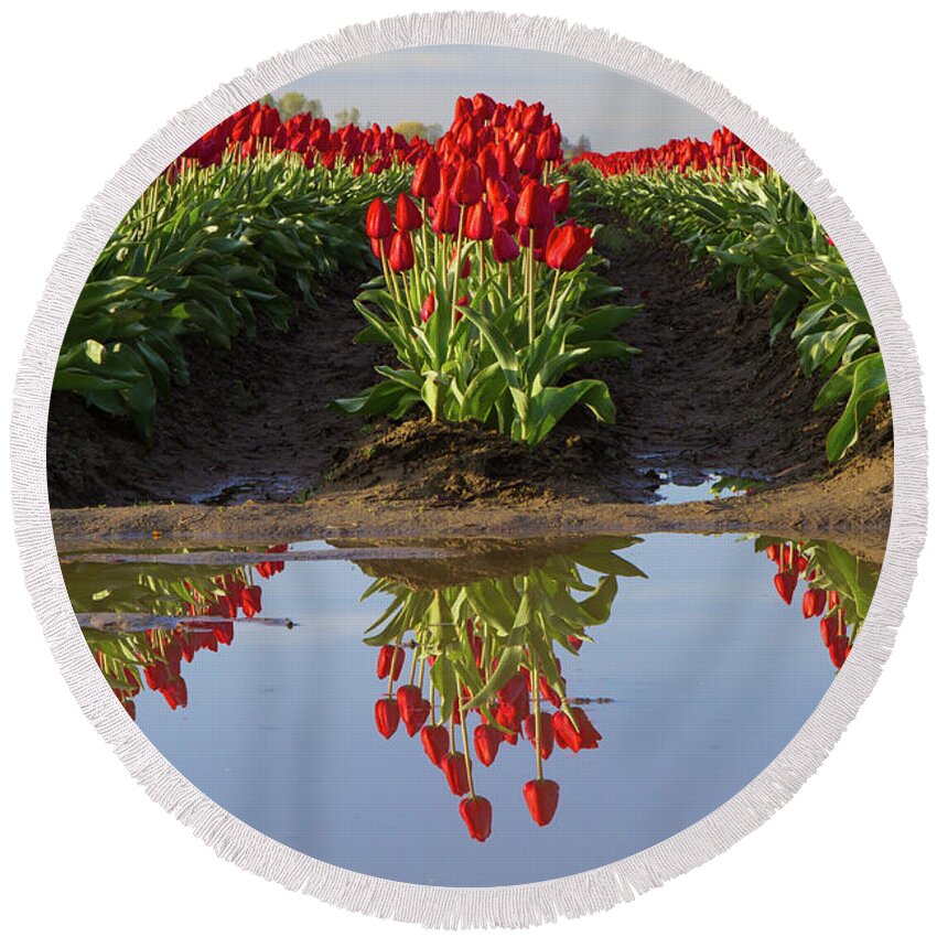Tulips Round Beach Towel featuring the photograph Tulip Reflection by Michael Rauwolf