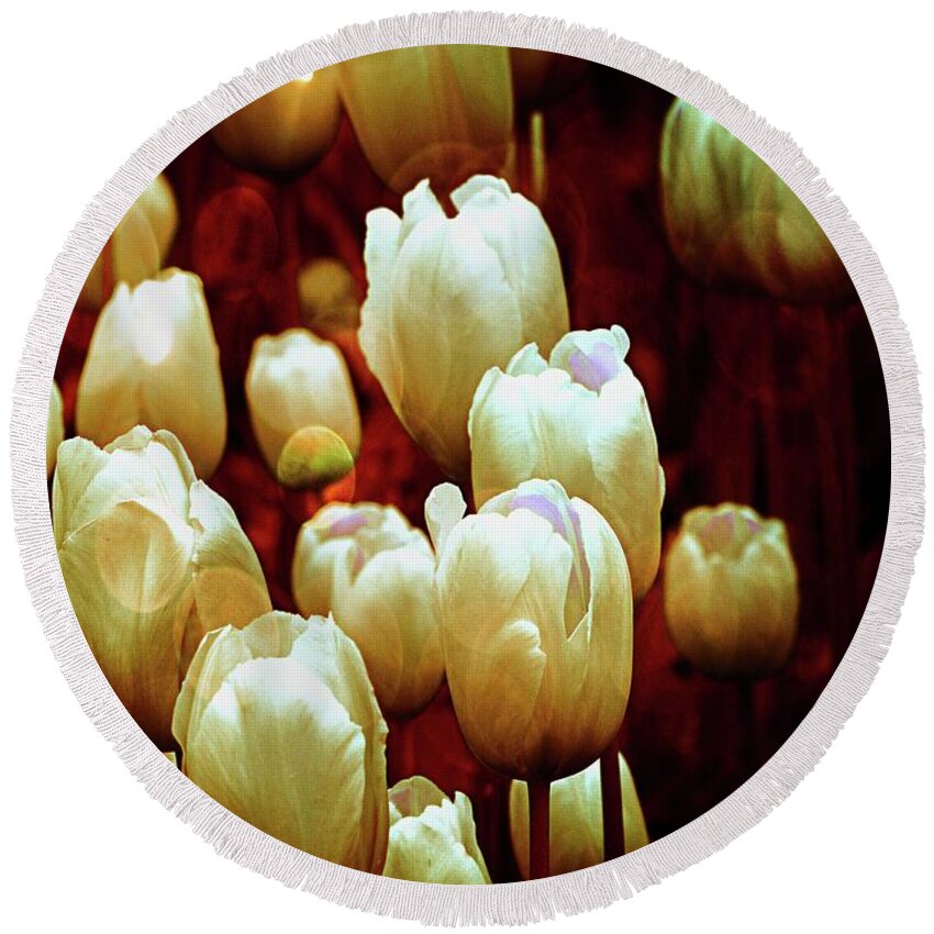 Tulips Round Beach Towel featuring the photograph Tulips Garden Hibster by Michelle Liebenberg