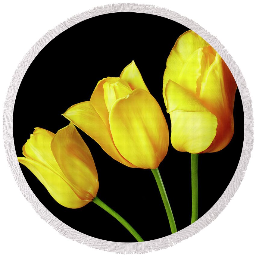 Tulips Round Beach Towel featuring the photograph Tulips by Tony Cordoza