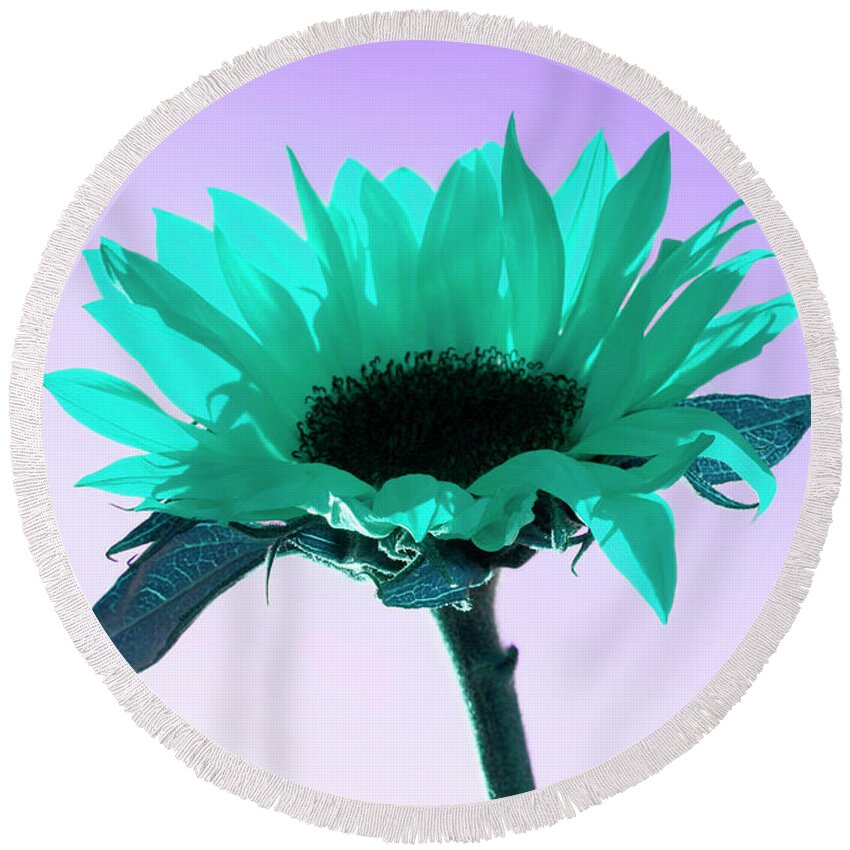 Floral Round Beach Towel featuring the photograph Turquoise Sunflower ART by Renee Spade Photography