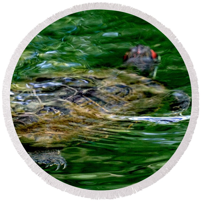 Turtle Round Beach Towel featuring the photograph Turtle by Caryn La Greca