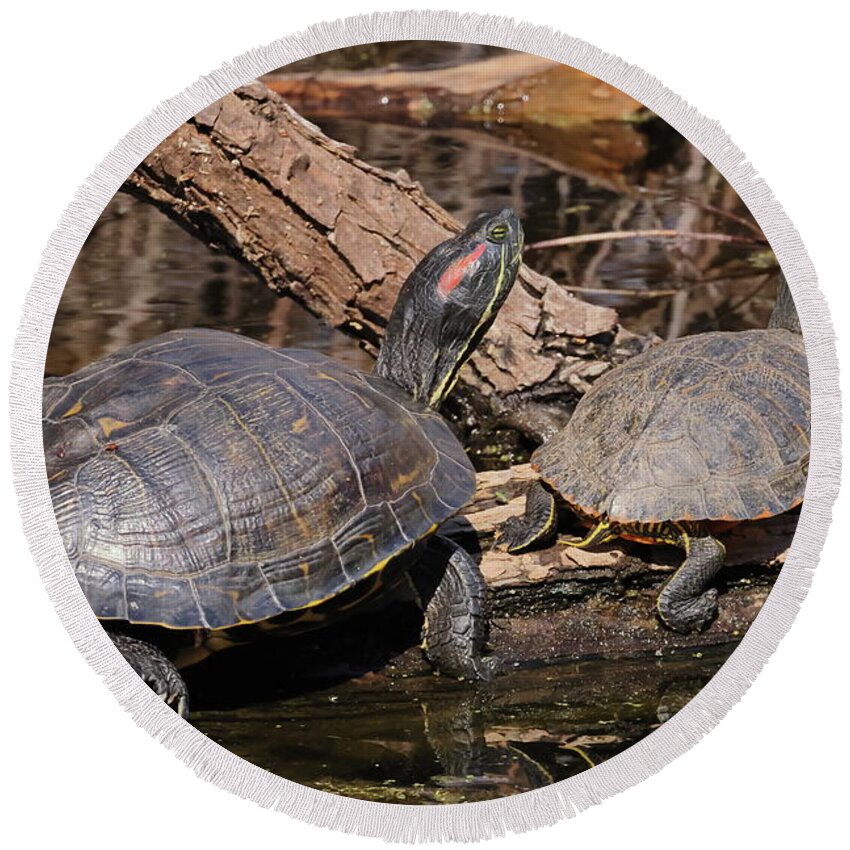 Red-eared Slider Round Beach Towel featuring the photograph Turtles 0464 by John Moyer