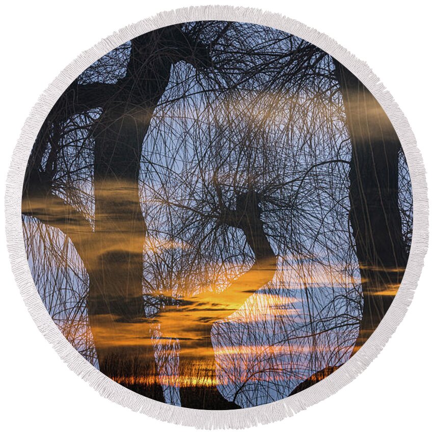 Netherlands Round Beach Towel featuring the photograph Twilight zone in the magic forest by Casper Cammeraat