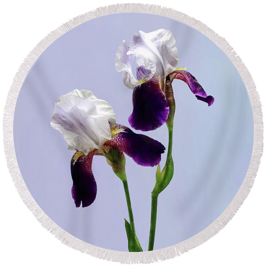 Iris Round Beach Towel featuring the photograph Twin Irises Maroon and White by Susan Savad