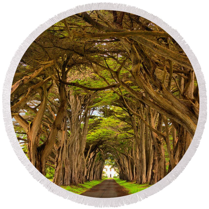 Point Reyes Round Beach Towel featuring the photograph Twisted Point Reyes Cypress Tunnel by Adam Jewell