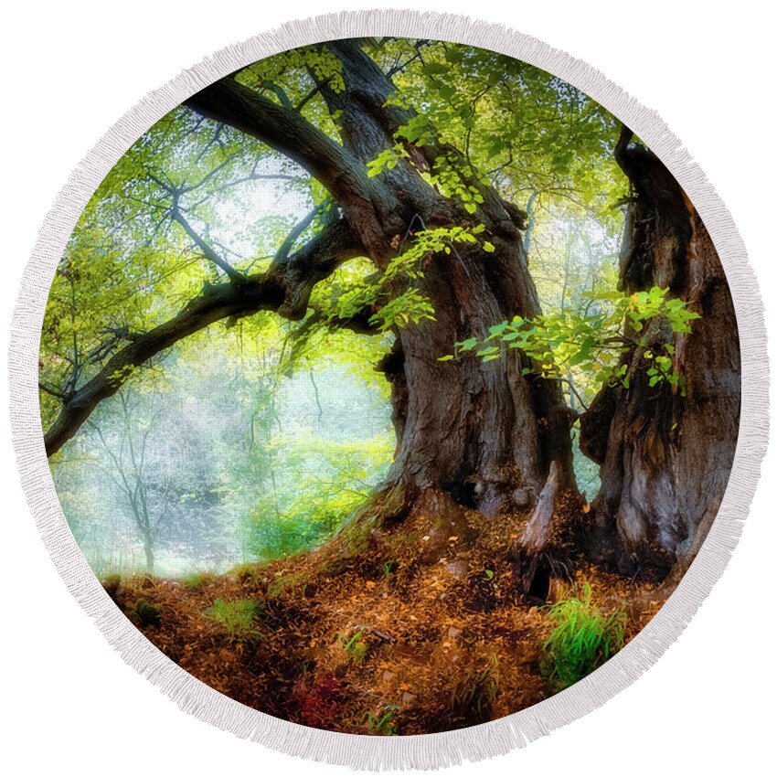 Trees Round Beach Towel featuring the photograph Two beech trees by Remigiusz MARCZAK