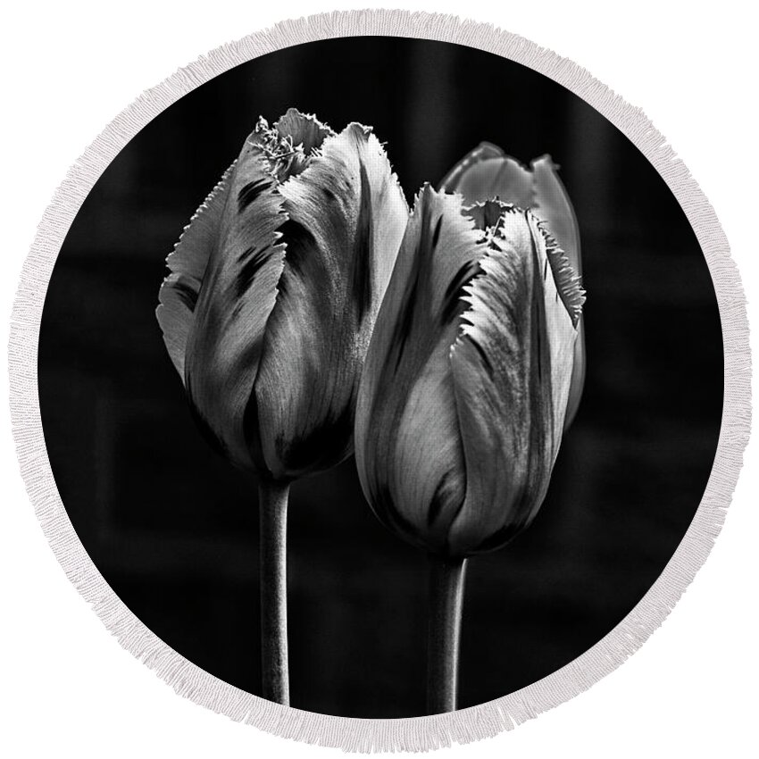 Two Duo Couple Tulips Black White Flowers Stylish Beautiful Delightful Pretty Gorgeous Characters Expressive Close Up Romantic Poetic Creative Minimalist Minimalism Simple Impressions Attractive Charming Inspiration Eccentric Singular Fabulous Fantastic Delicate Gentle Bold Mono Contemporary Impressive Stunning Elegant Tender Touching Passion Expressionistic Interpretative Evocative Romance Simplicity Togetherness Together Associative Spiritual Happy Aesthetic Idyllic Meaningful Sentimental Round Beach Towel featuring the photograph togetherness - DUO TULIPS, STRONG CONTRAST EFFECTIVE BLACK AND WHITE FLOWERS by Tatiana Bogracheva