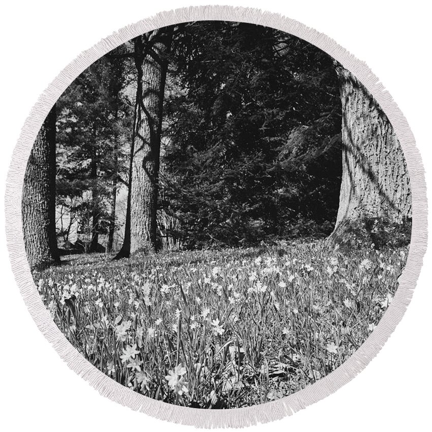 Finland Round Beach Towel featuring the photograph Under the naked oaks bw by Jouko Lehto