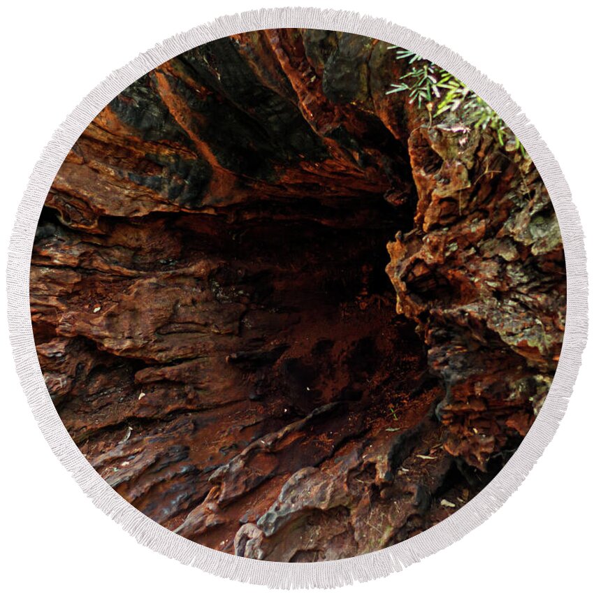 Tree Round Beach Towel featuring the photograph Underneath the Tree Base by Elaine Teague
