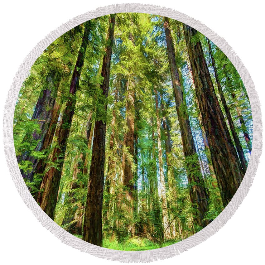 California Round Beach Towel featuring the photograph Up Into the California Redwoods ap 120 by Dan Carmichael
