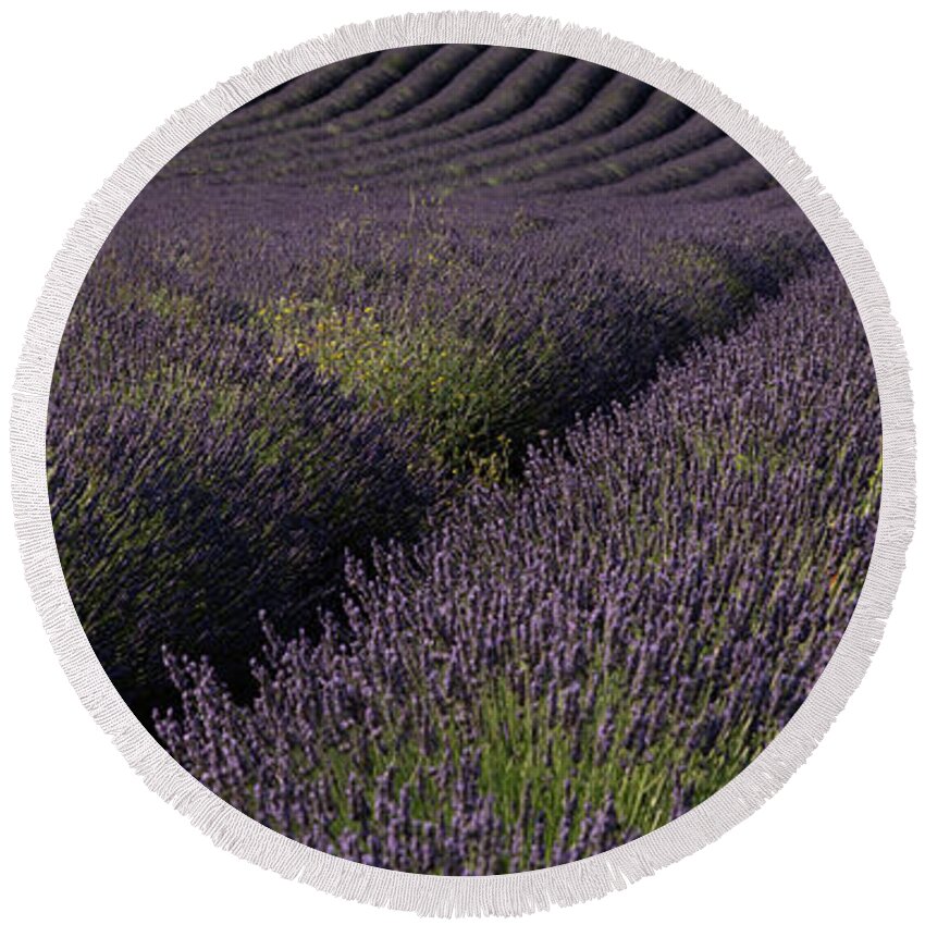 Valensole Plateau Round Beach Towel featuring the photograph Valensole Plateau by Rob Hemphill