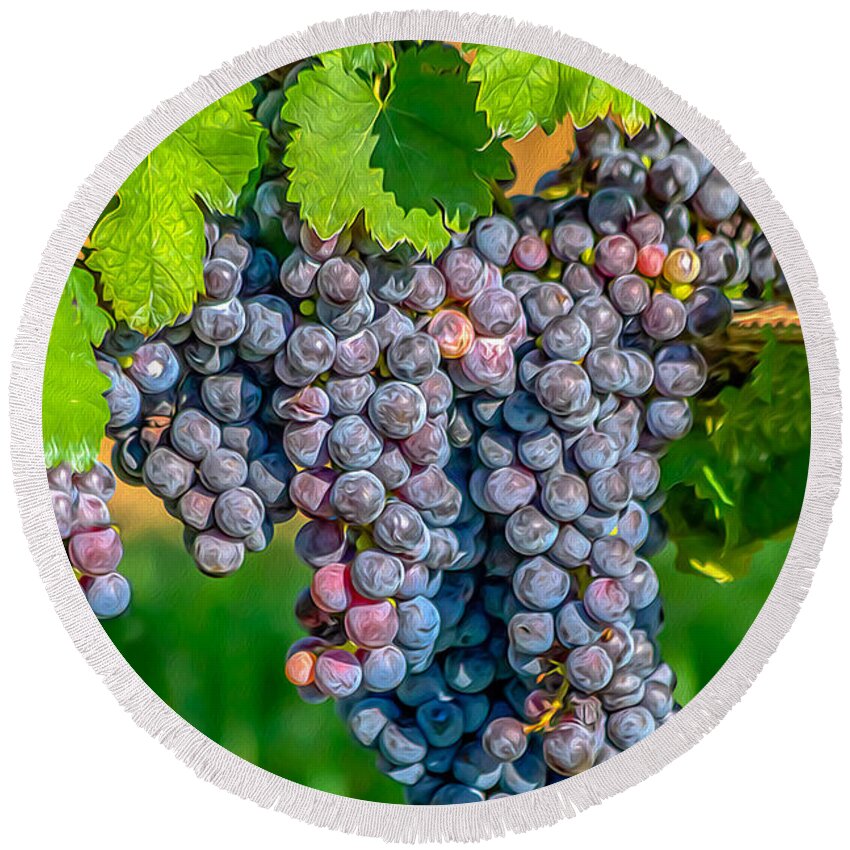 Grapes Round Beach Towel featuring the photograph Vineyards 03 OP by Jim Dollar