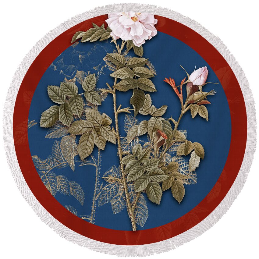 Vintage Round Beach Towel featuring the painting Vintage Botanical Pink Rosebush on Circle Blue on Red by Holy Rock Design