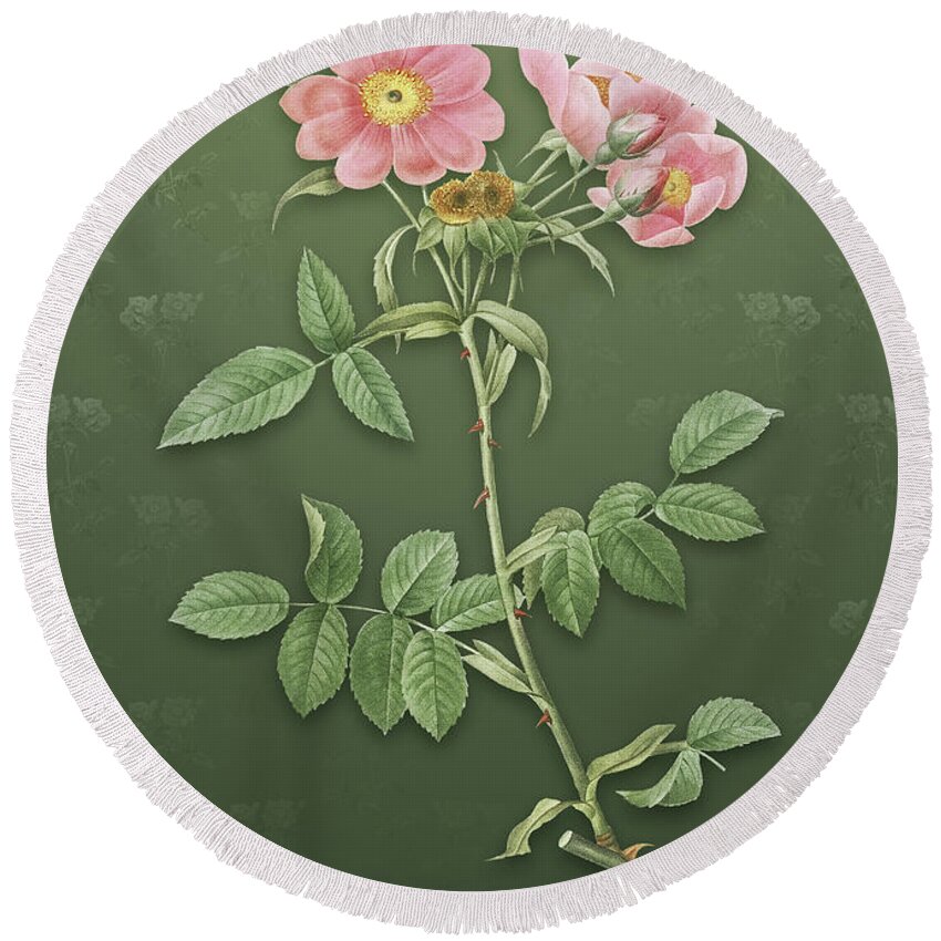 Vintage Round Beach Towel featuring the mixed media Vintage Lady Monson Rose Bloom Botanical Art on Lunar Green Pattern n.0743 by Holy Rock Design