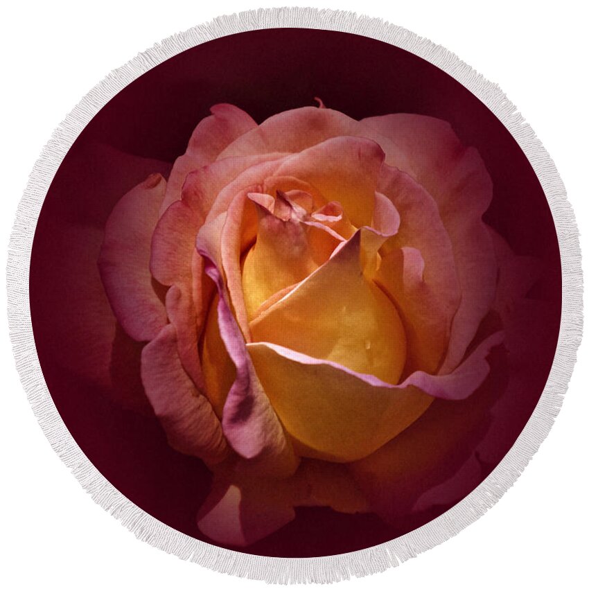 Rose Round Beach Towel featuring the photograph Vintage Rose 2020 by Richard Cummings