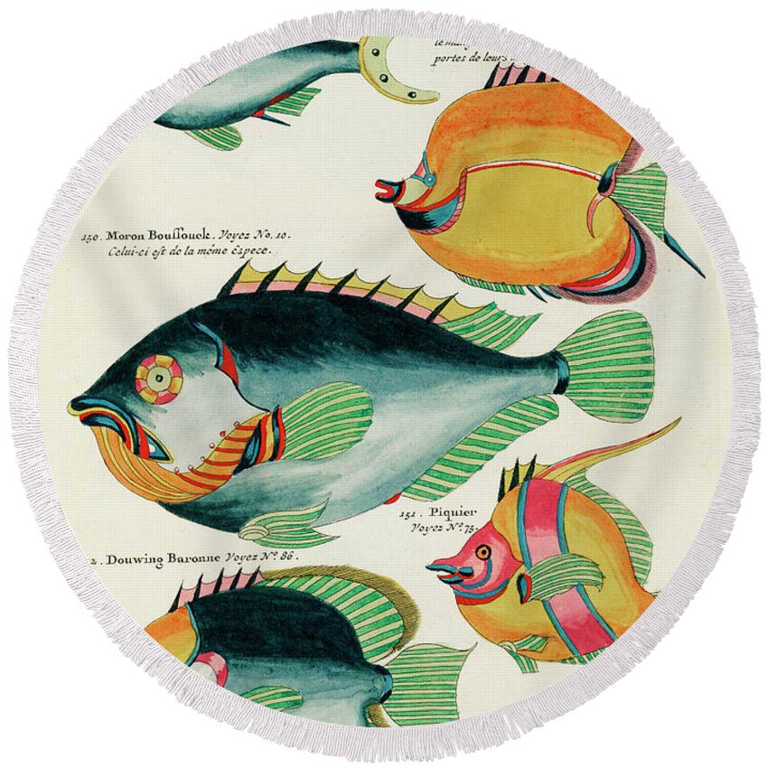 Fish Round Beach Towel featuring the digital art Vintage, Whimsical Fish and Marine Life Illustration by Louis Renard - Douwing Demoiselle, Tomtombo by Louis Renard