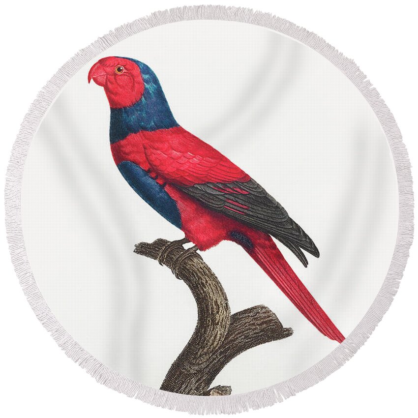 Violet-necked Lory Round Beach Towel featuring the mixed media Violet Necked Lory by World Art Collective