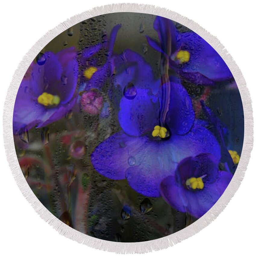 Digital Paintings Round Beach Towel featuring the photograph Violets In A Window by Diana Mary Sharpton