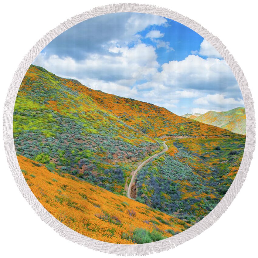 California Poppy Round Beach Towel featuring the photograph Walker Canyon Super Bloom Portrait by Kyle Hanson