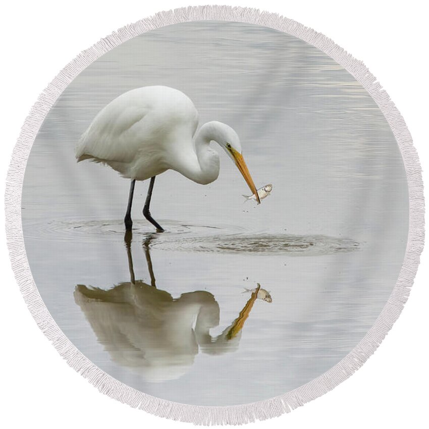 White Birds Round Beach Towel featuring the photograph Wanna Catch Some Lunch? by Linda Shannon Morgan