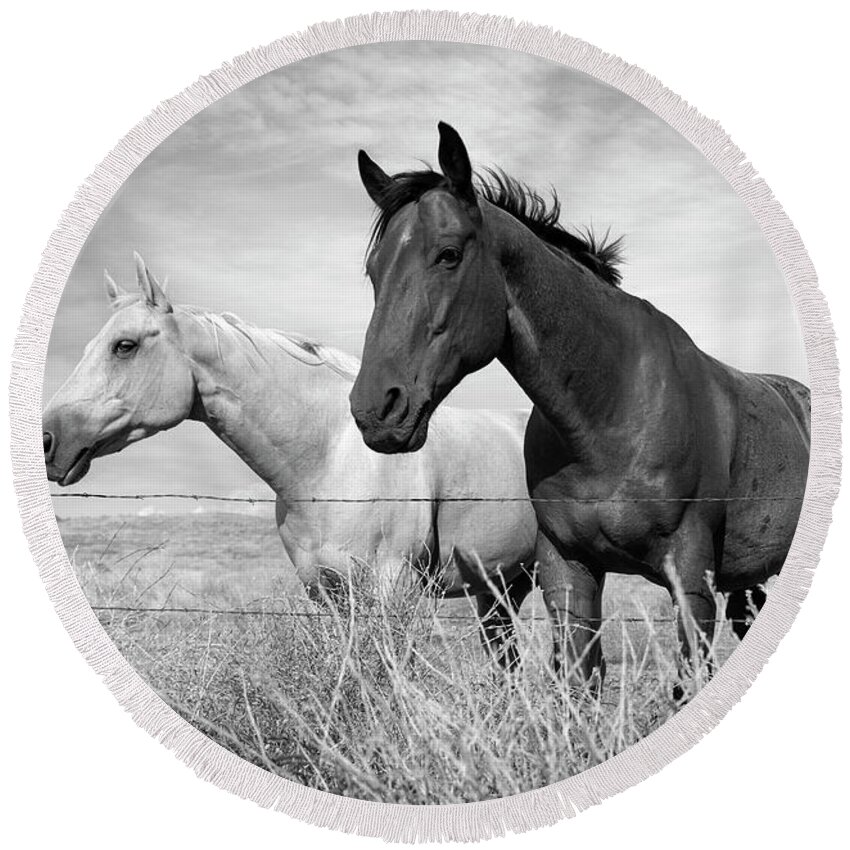 San Diego Round Beach Towel featuring the photograph Warner Springs Two Horses by William Dunigan