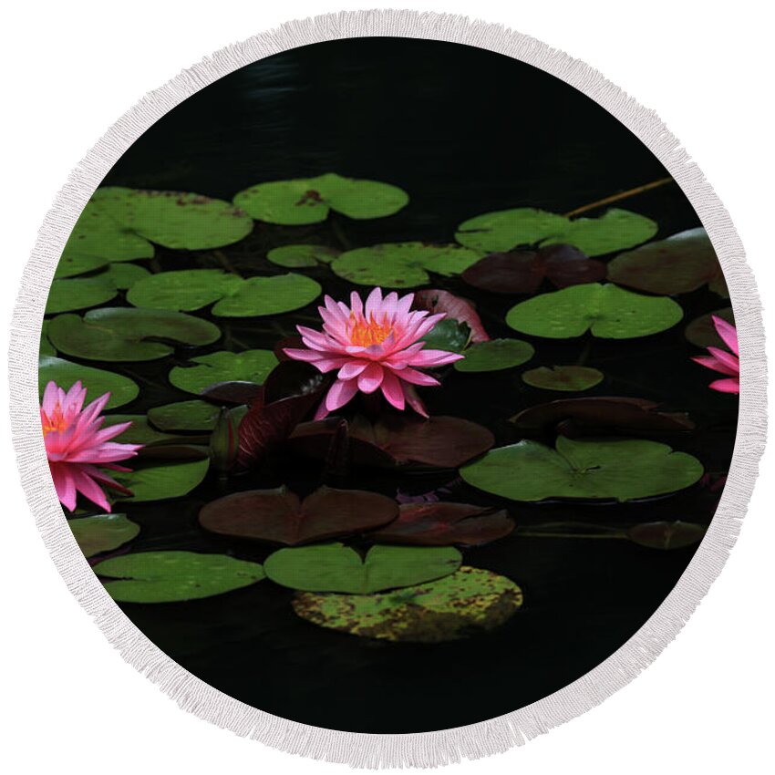 Water Lily Round Beach Towel featuring the photograph Water Lilies 9 by Richard Krebs