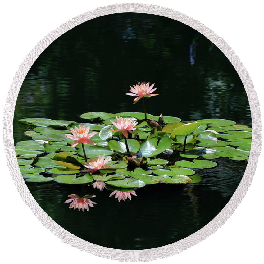 Water Lily Round Beach Towel featuring the photograph Water Lilies 10 by Richard Krebs