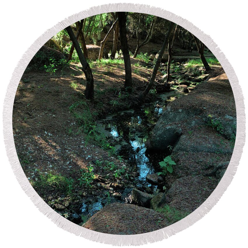 Forest Round Beach Towel featuring the photograph Water Line in the Forest by Angelo DeVal