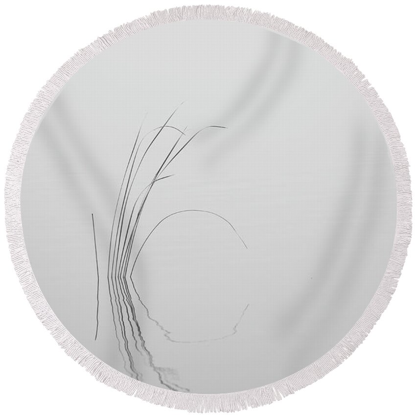 Black Round Beach Towel featuring the photograph Water Reed in Black and White by Carolyn Hutchins