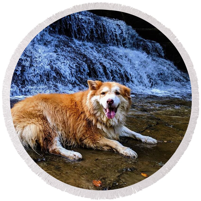  Round Beach Towel featuring the photograph Waterfall Doggy by Brad Nellis