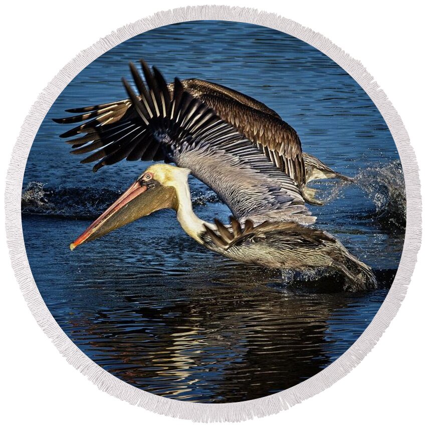 Brown Pelican Round Beach Towel featuring the photograph We Have Liftoff by Ronald Lutz