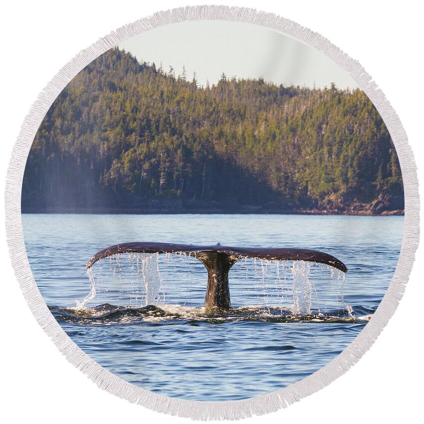 Whale Tale Round Beach Towel featuring the photograph Whale Tale 2 by Michael Rauwolf