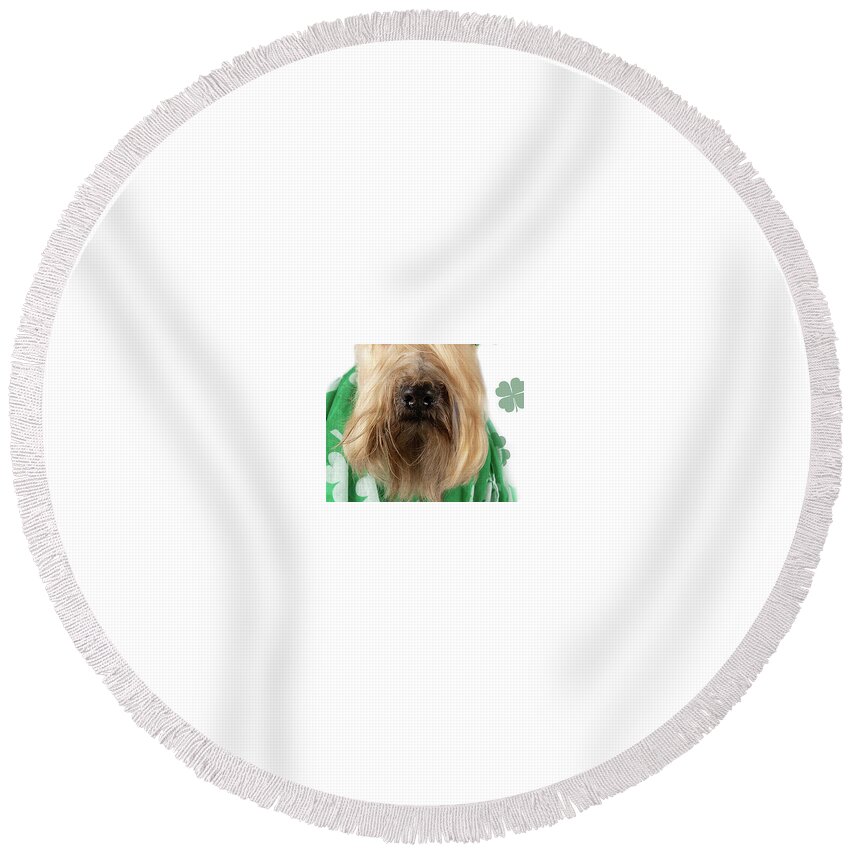 Wheaten Round Beach Towel featuring the photograph Wheaten Face Mask 8 by Rebecca Cozart