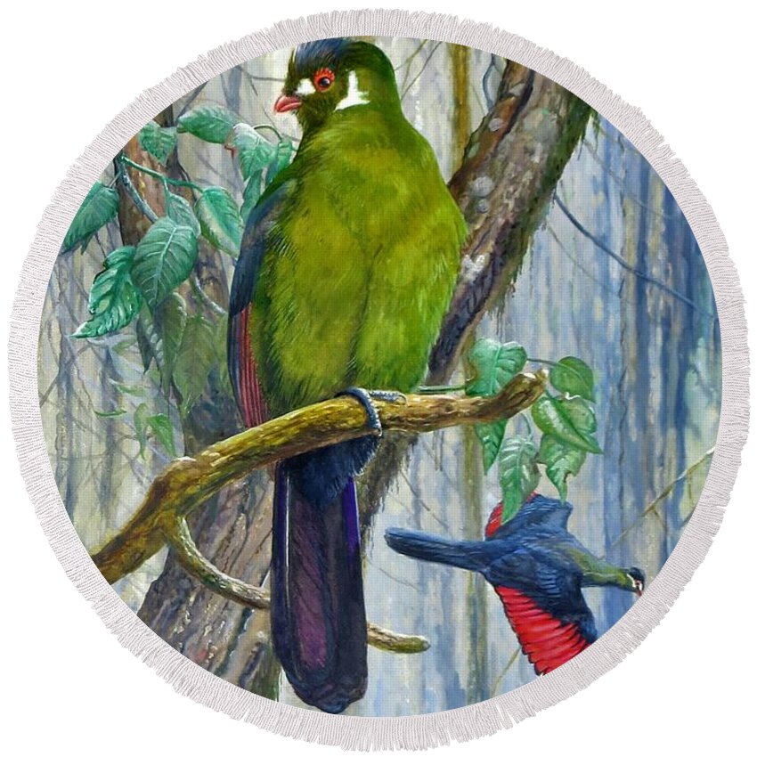 White-cheeked Turaco (turaco Leucotis) Round Beach Towel featuring the painting White-cheeked Turaco by Barry Kent MacKay