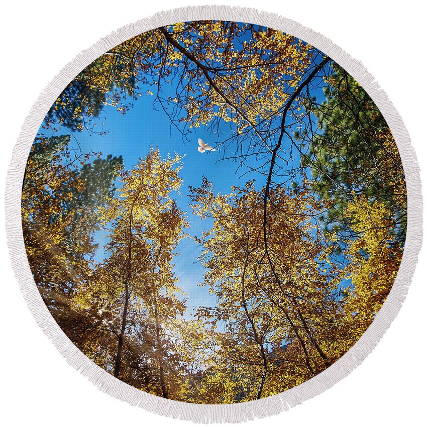 Landscape Round Beach Towel featuring the photograph White Dove over Big Pines by Romeo Victor