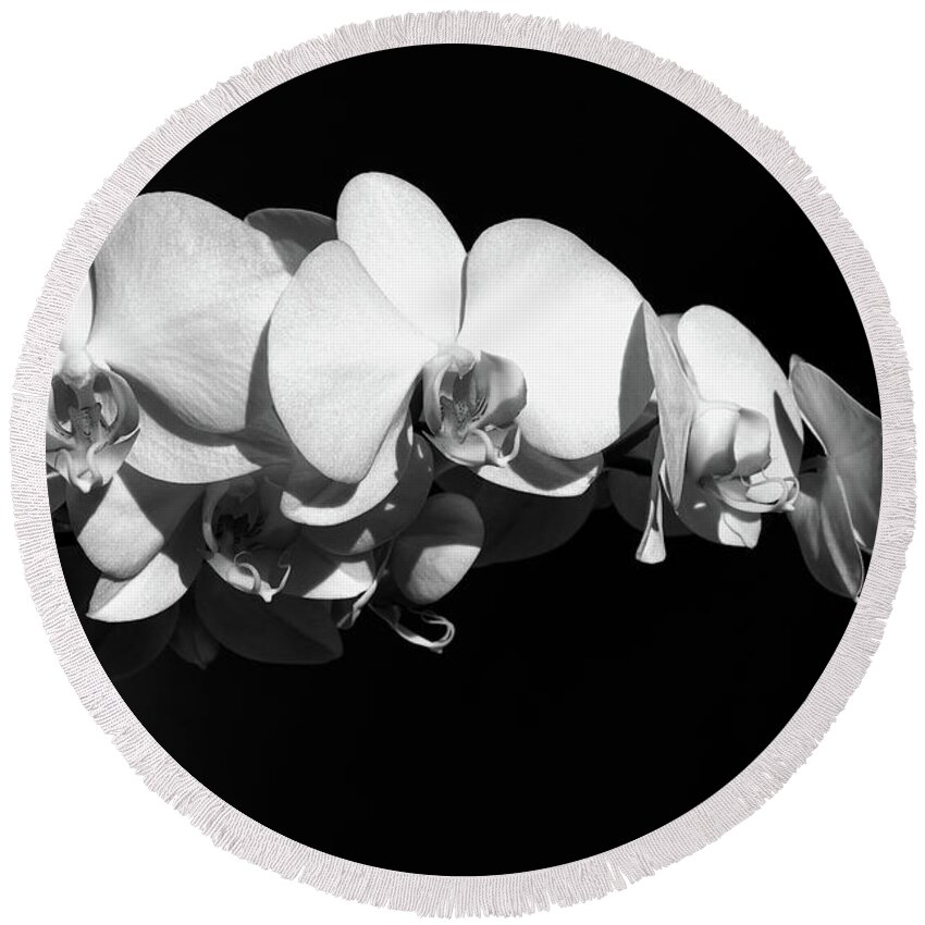 Flower Round Beach Towel featuring the photograph White Orchid Phalaenopsis Amabilis Flower Petal by John Williams