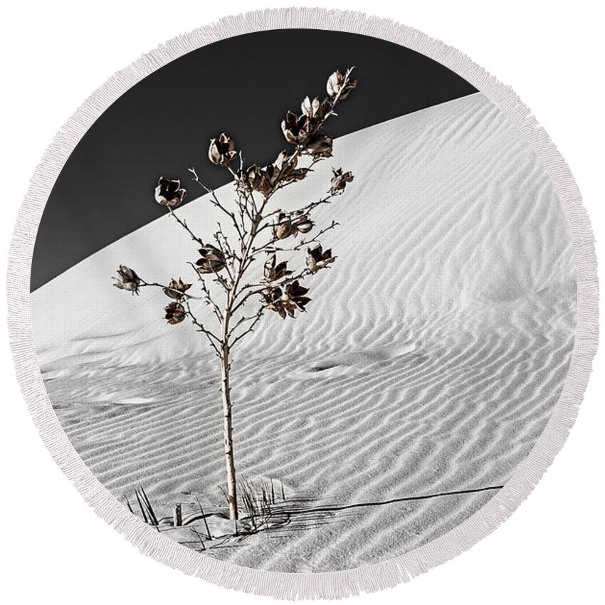 © 2013 Lou Novick Round Beach Towel featuring the photograph White Sand #4 1 of 2 by Lou Novick