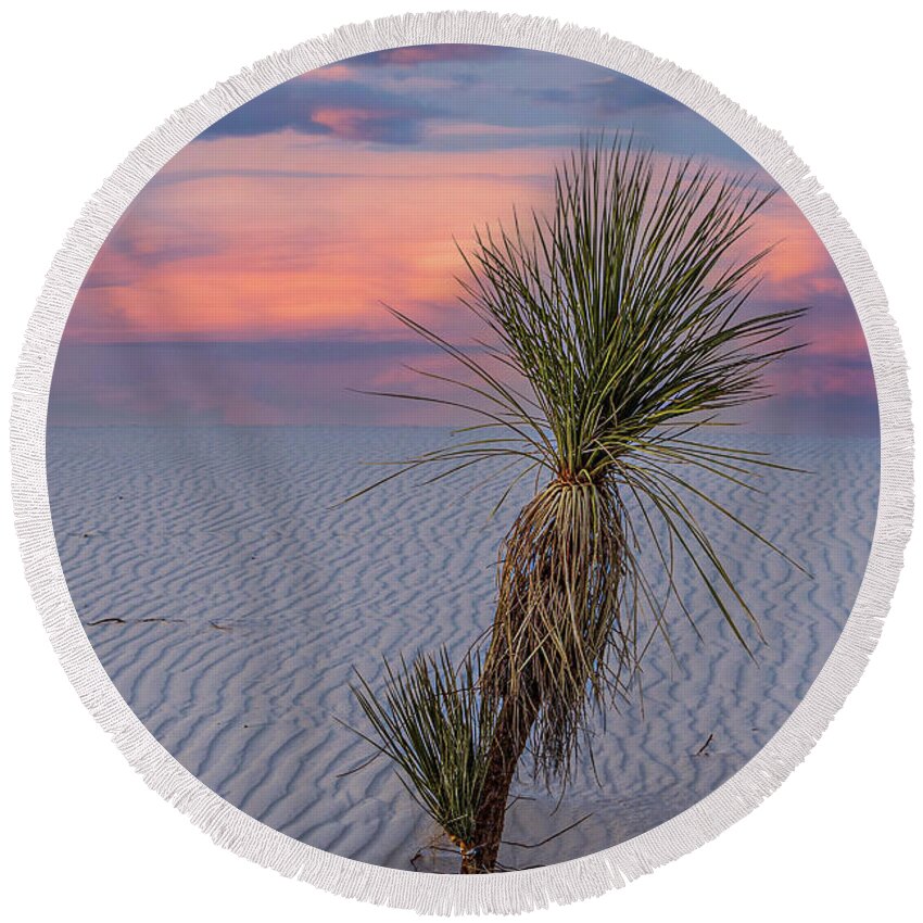 Taos Round Beach Towel featuring the photograph White Sands Yucca 1 by Elijah Rael