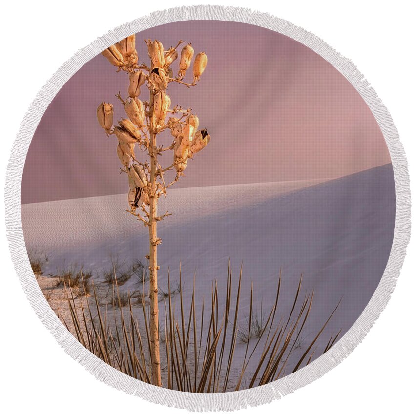 White Sands New Mexico Round Beach Towel featuring the photograph White Sands Yucca 2 by Rebecca Herranen