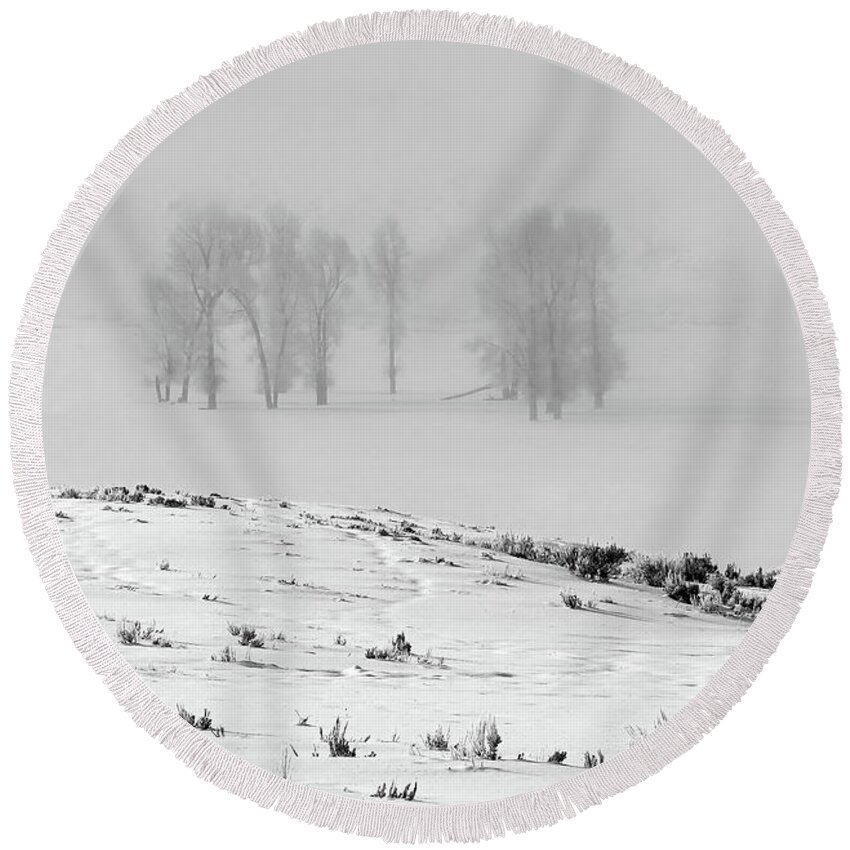 Nature Round Beach Towel featuring the photograph Whiteout by DB Hayes