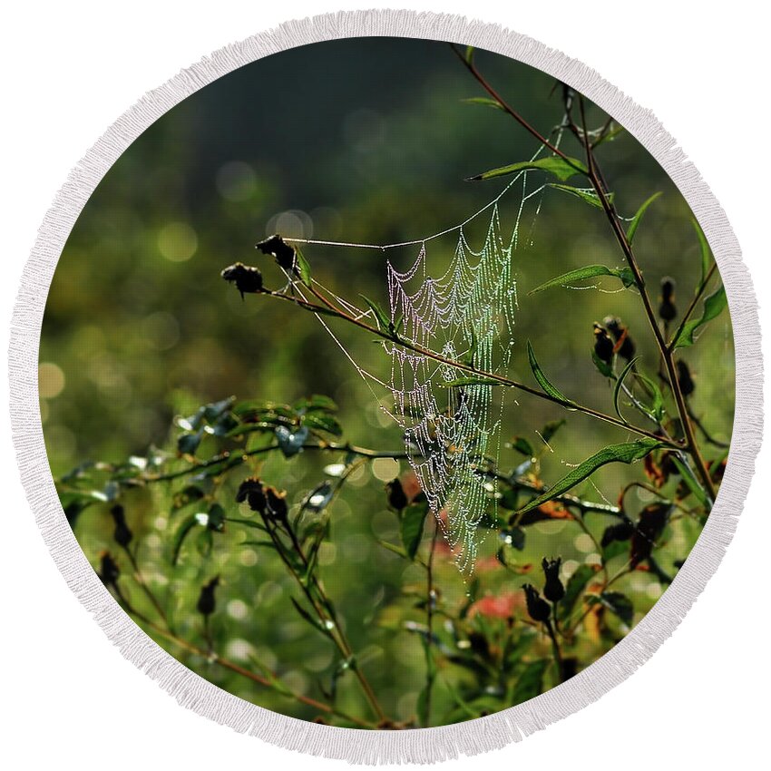 Web Round Beach Towel featuring the photograph Wild About Webs by Kerri Farley